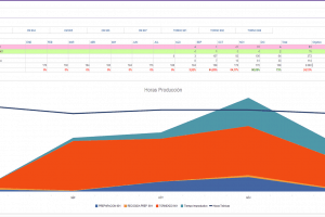INDICADORES HORAS PROCESOS BI