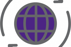 adaptados a su realidad