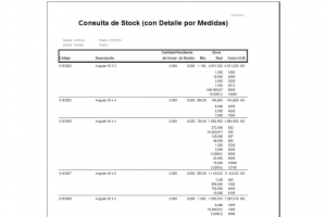 consulta de stoks-informe