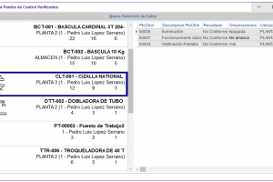 CONSULTA PUNTOS DE CONTROL VERIFICADOS-DETALLE