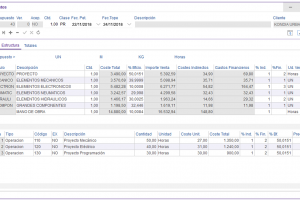 INGENIERIA PRESUPUESTOS