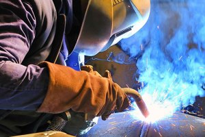 trazabilidad lote aplicacion