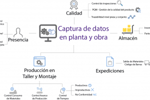 siddex-organigrama pantalla tactil-web