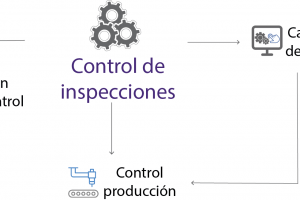 organigrama control inspecciones