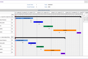 Gestor proyectos-Consulta de tareas-con hitos