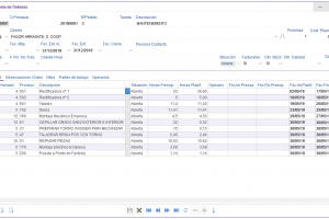 ORDEN DESTINADA A MANTENIMIENTO SIDDEX ERP