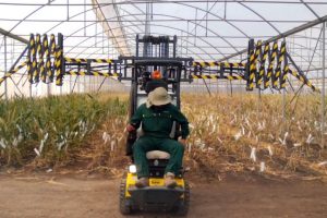 idm-agrometal cliente siddex