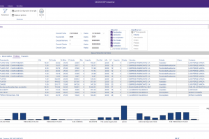 Consulta de presupuestos - Partidas